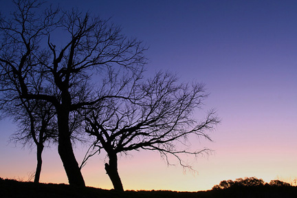 Sunrise Enchanted Rock. Image #4