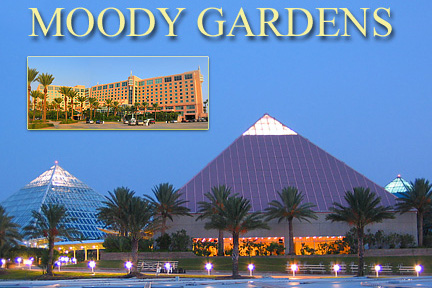 Moody Gardens Pyramids. Copyright George Hosek