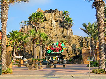 Rainforest cafe in Galveston