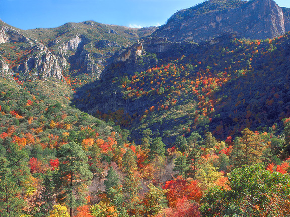  the Guadalupe Mountains National Park to witness this stunning display.