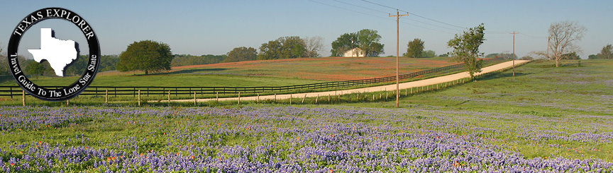 Wildflowers in Brenham - Chappell Hill Texas.