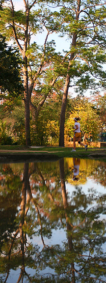 Seymour Lieberman Exercise Trail Memorial Park