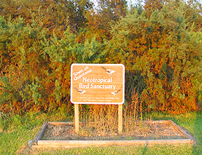 Neo-tropical bird sanctuary at Quintana, Texas.