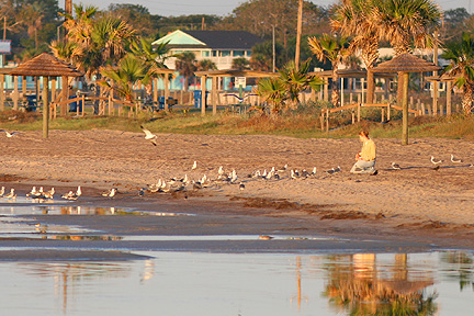 Rockport Beach Park