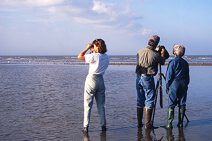 Birdwatchers at Aransas Bay