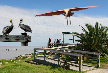 McHale Park Seabrook Texas