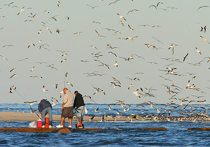 Photo #3, Fishermen South Jetty