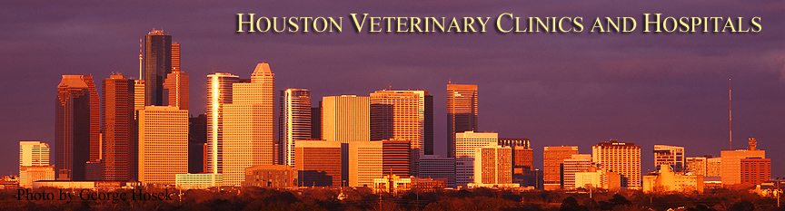 Houston Veterinary Clinics and Hospitals