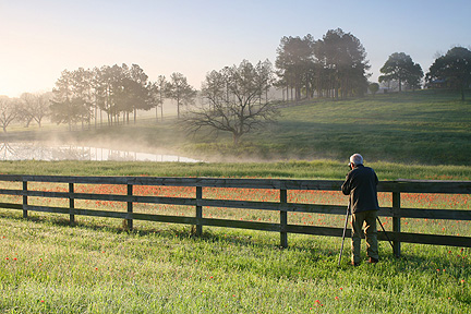 Image #11. Wildflower Photographer near brenham Texas. 